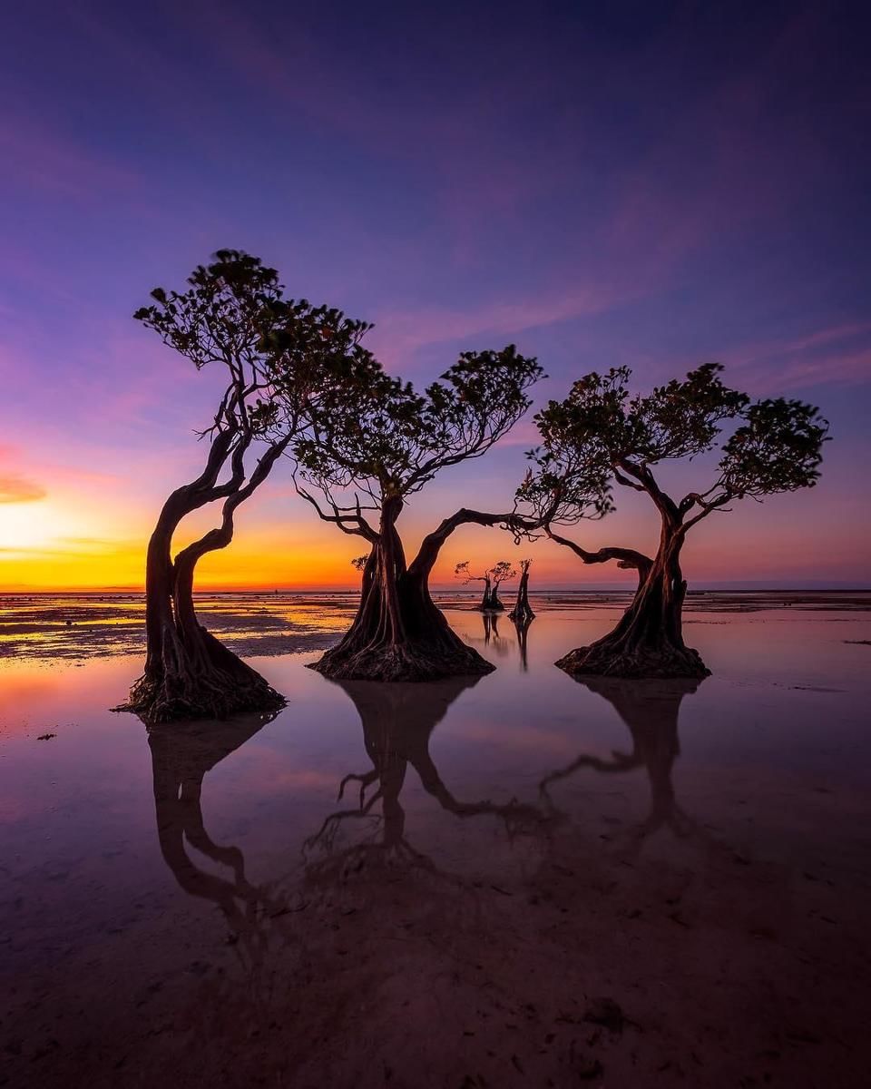 Instagram.com/radenrauf