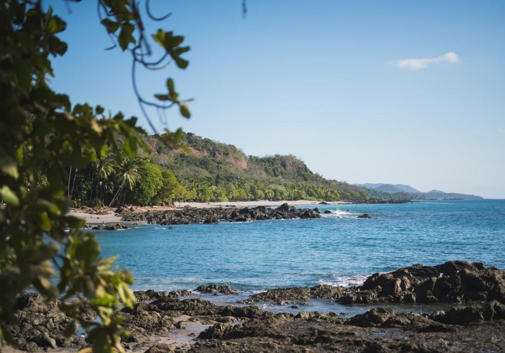 alisonslatteryphotography.blogspot.com