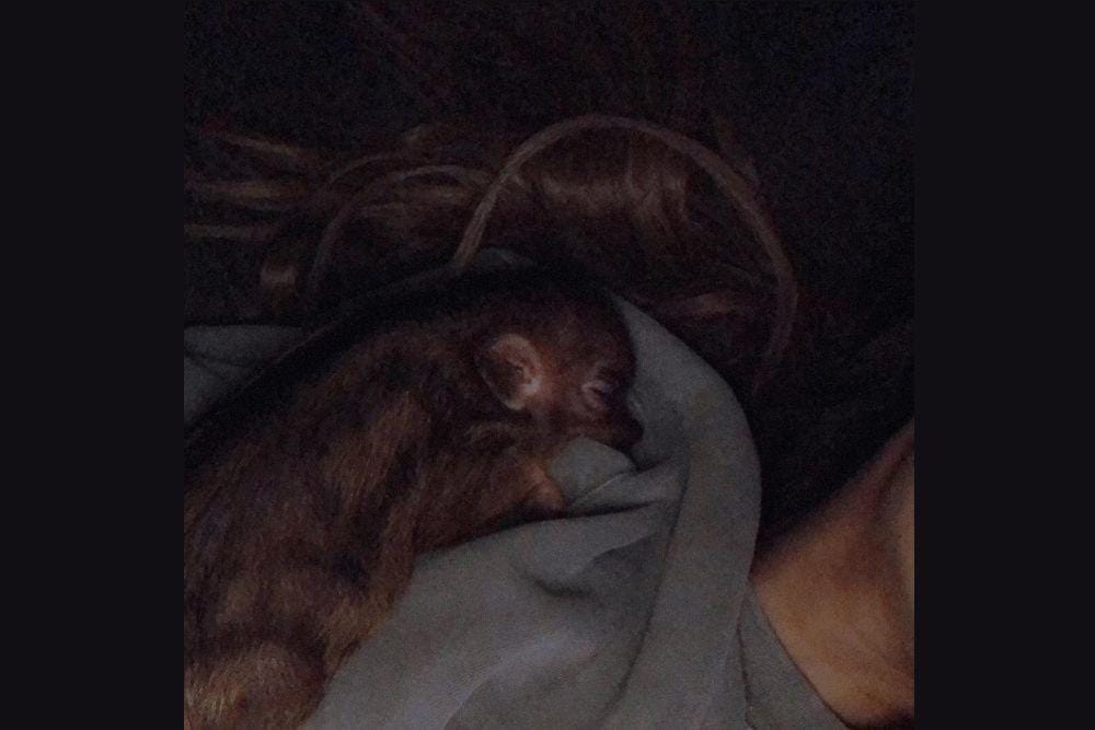 Instagram.com/arianagrande