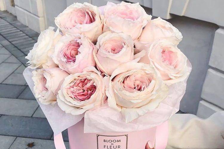 pinterest.com
