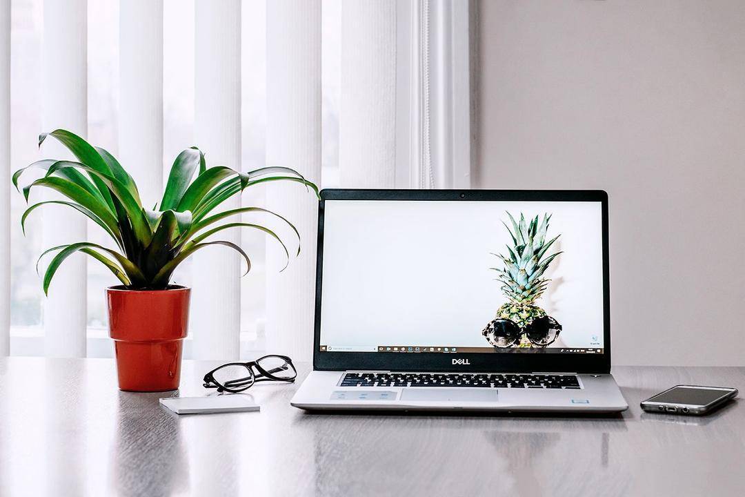 pexels.com/Lisa Fotios