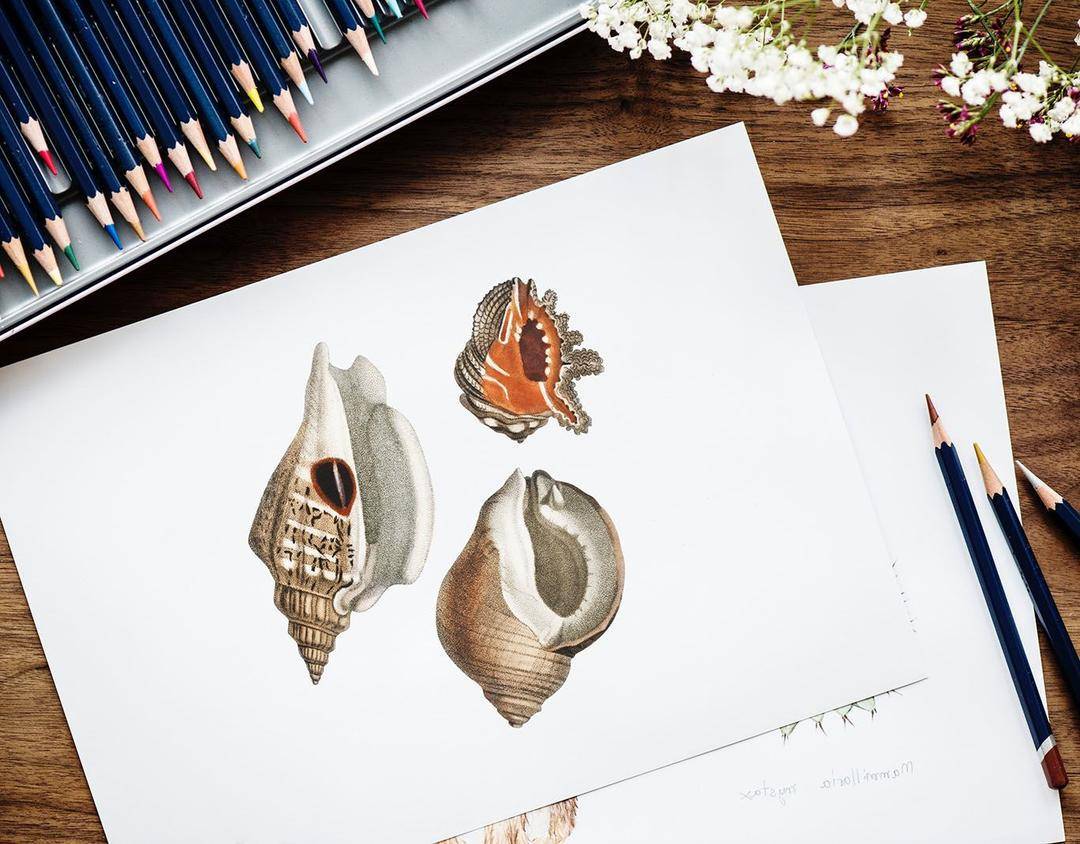 pexels.com/rawpixel.com