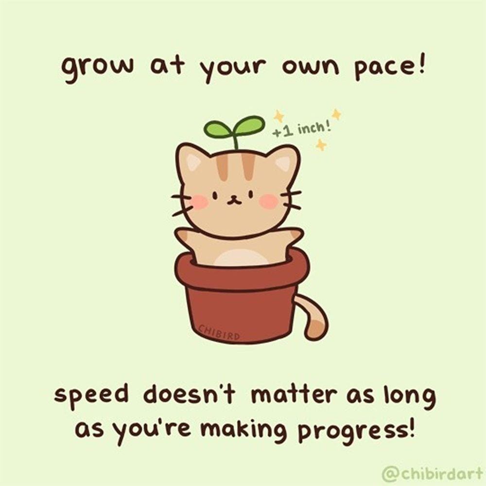 Instagram.com/chibirdart