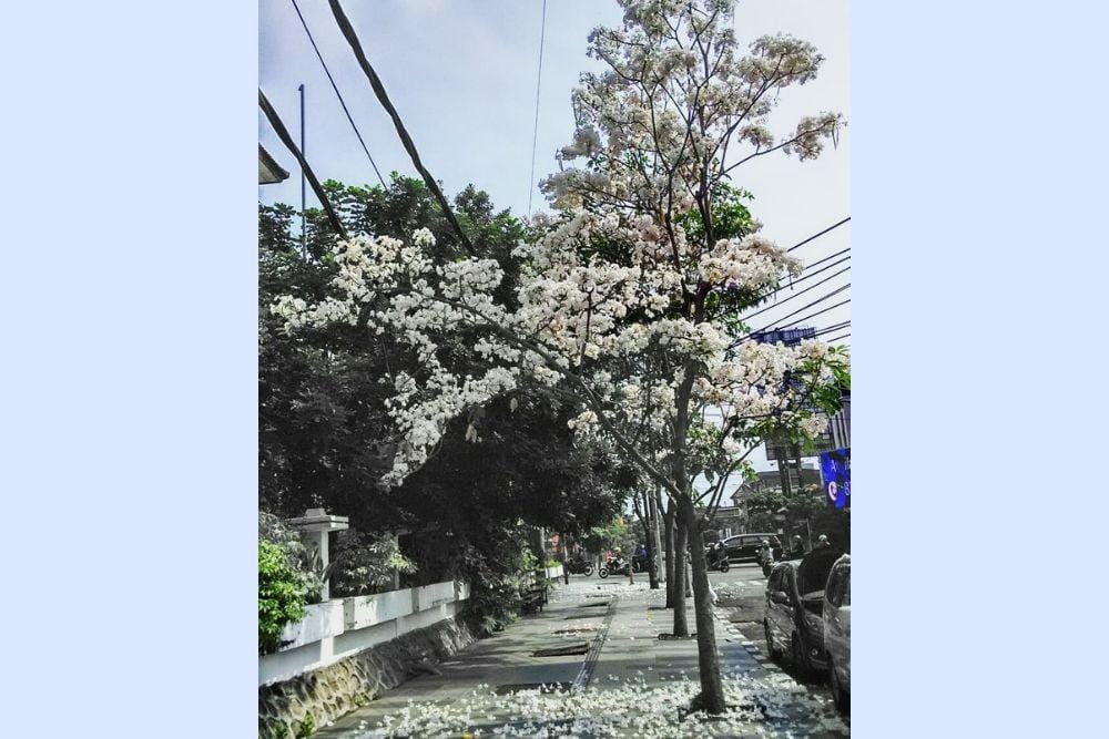 instagram.com/rudy.lewuk