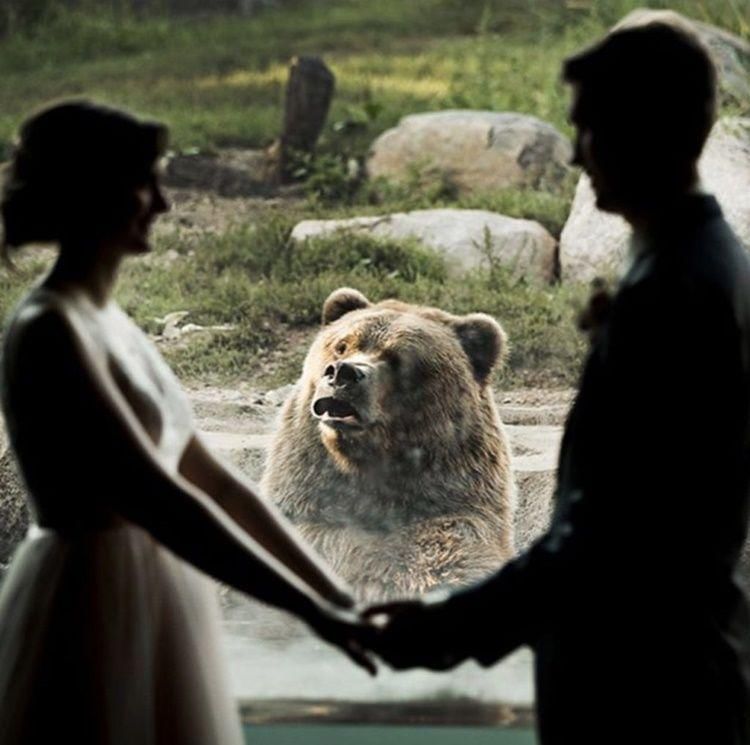 awkwardfamilyphotos.com, reddit.com