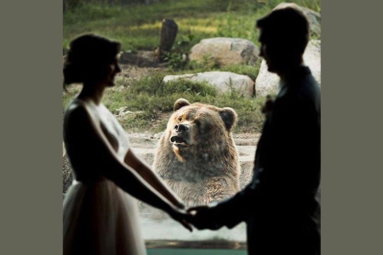 awkwardfamilyphotos.com, reddit.com