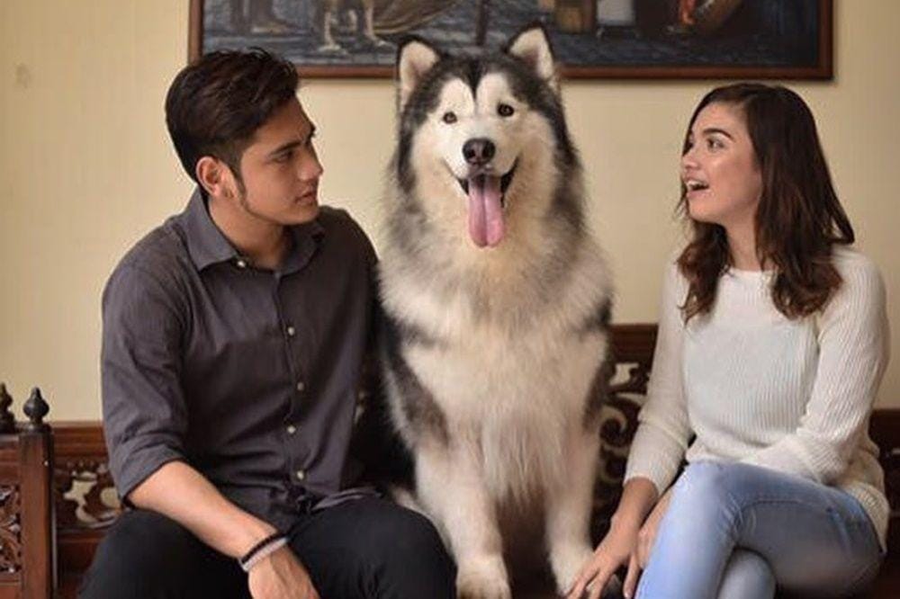 Instagram.com/giorgino_abraham