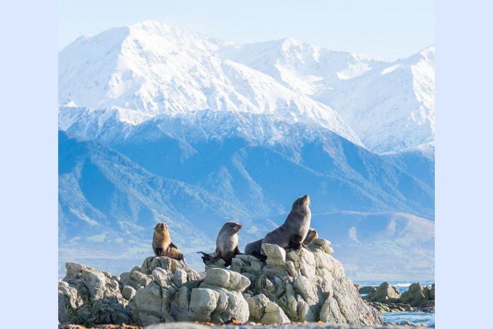greatjourneysofnz.co.nz