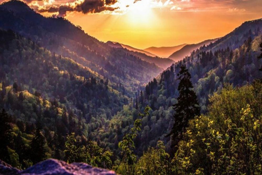 reservepigeonforge.com