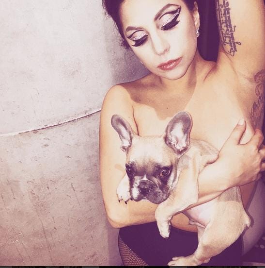 Instagram.com/Lady Gaga