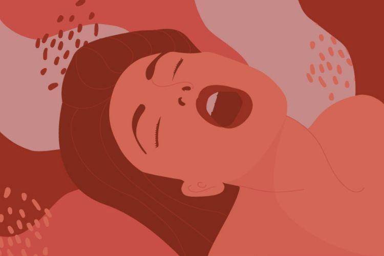 hercampus.com