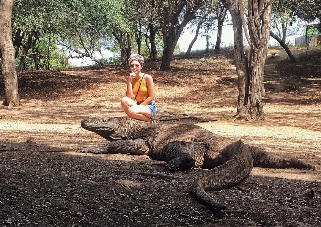 instagram.com/angelagilsha