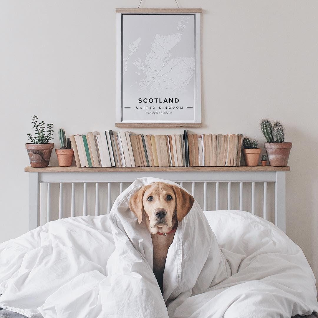 Instagram.com/theslowtraveler