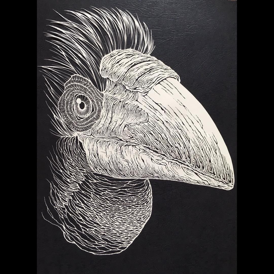 Instagram.com/kiriesousakukamasayo