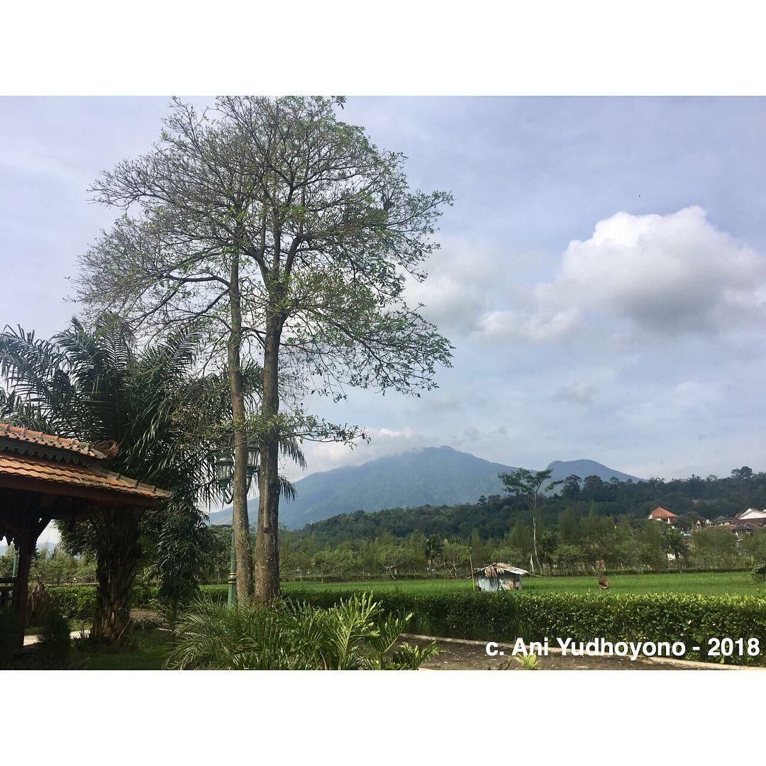 Instagram.com/aniyudhoyono