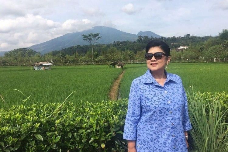 Instagram.com/@aniyudhoyono