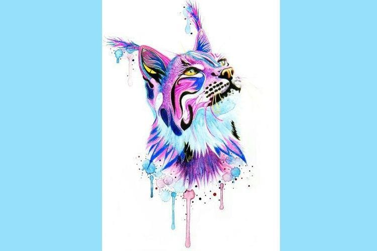 pinterest.com