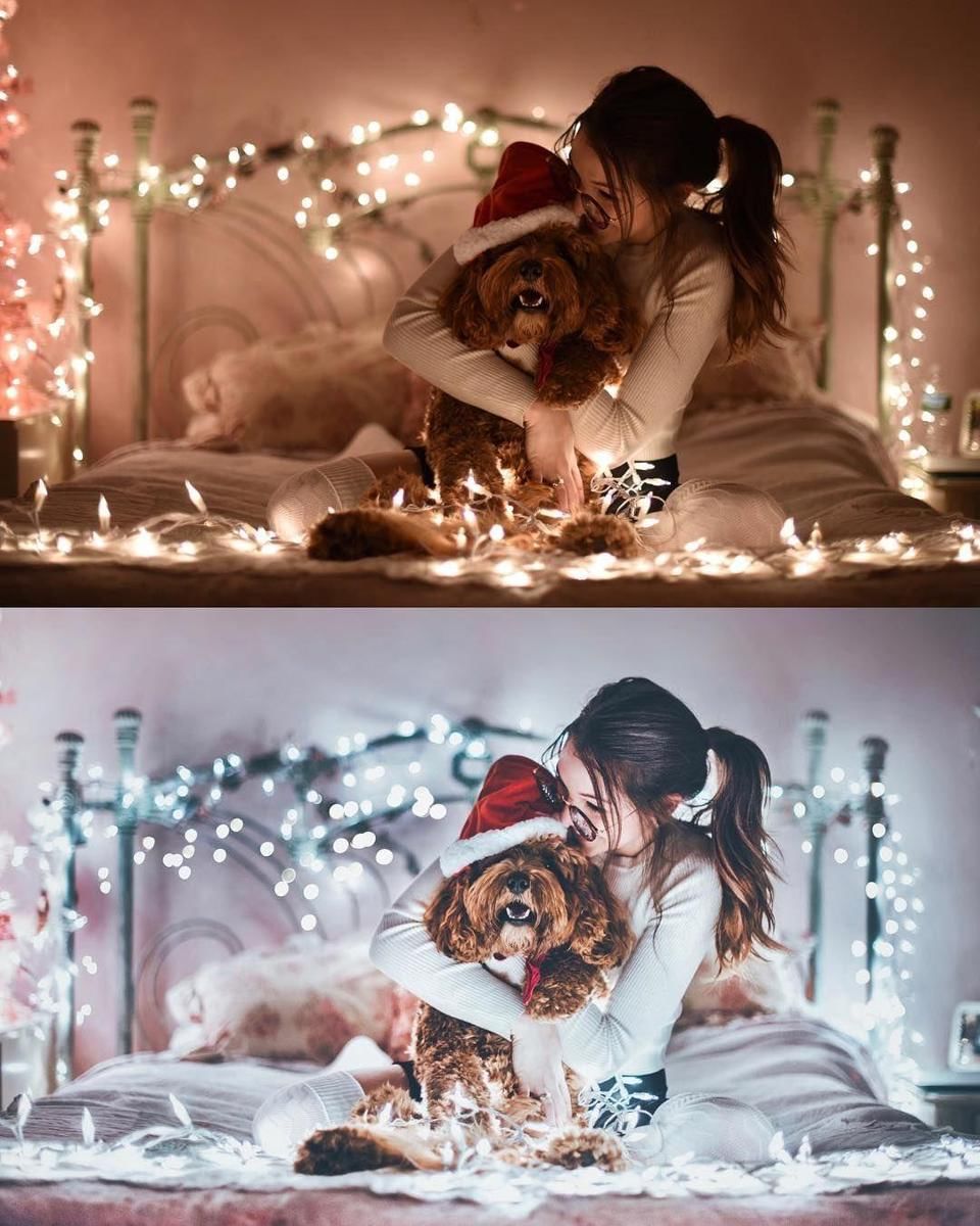 Instagram.com/bran.wolf