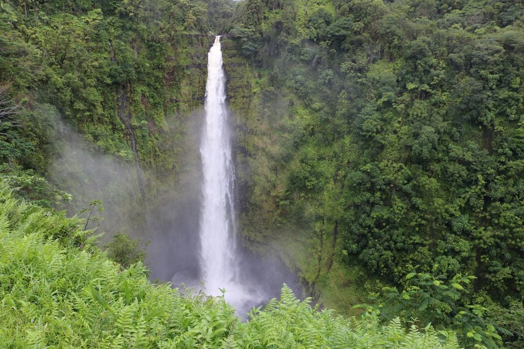dlnr.hawaii.gov