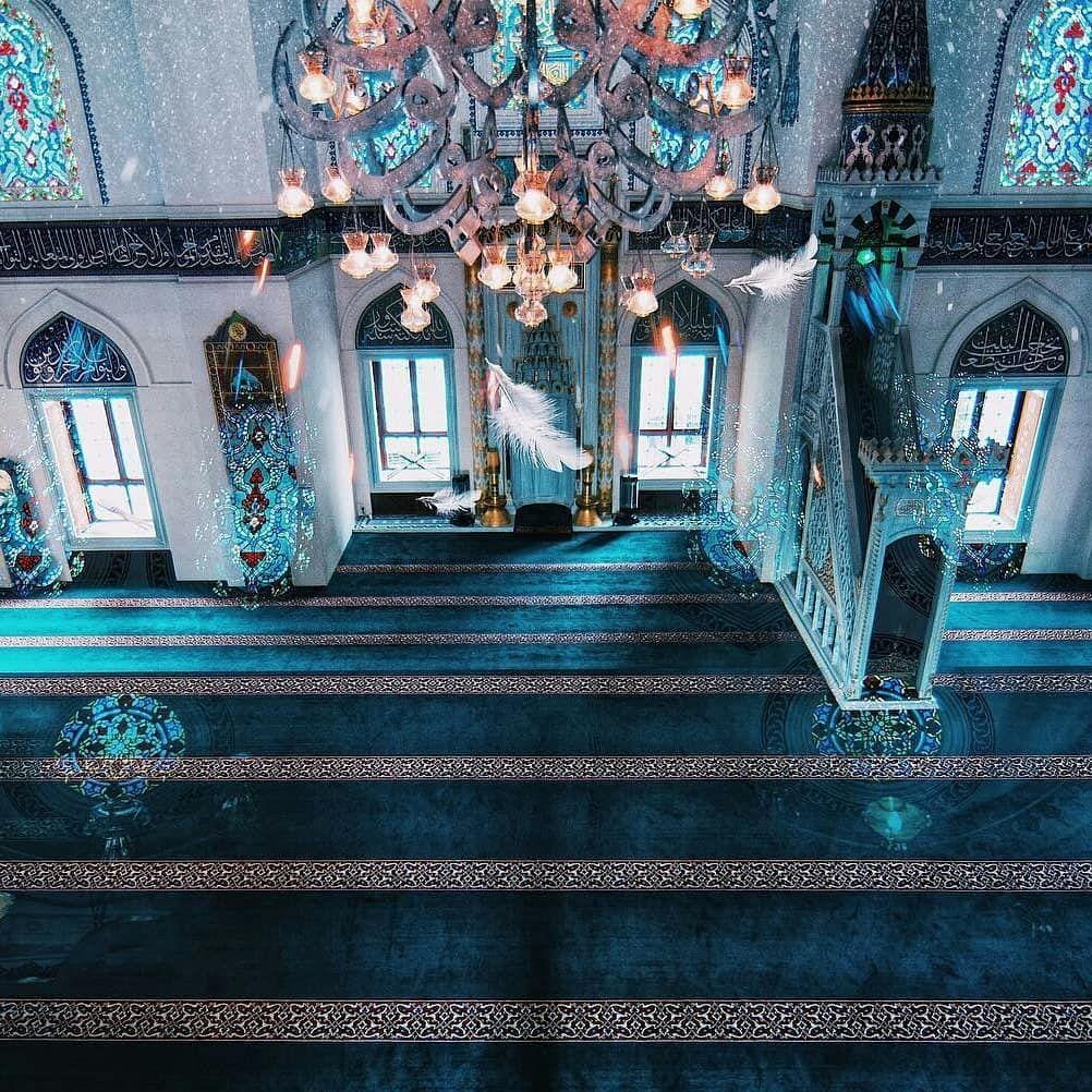 Instagram.com/tokyocamii