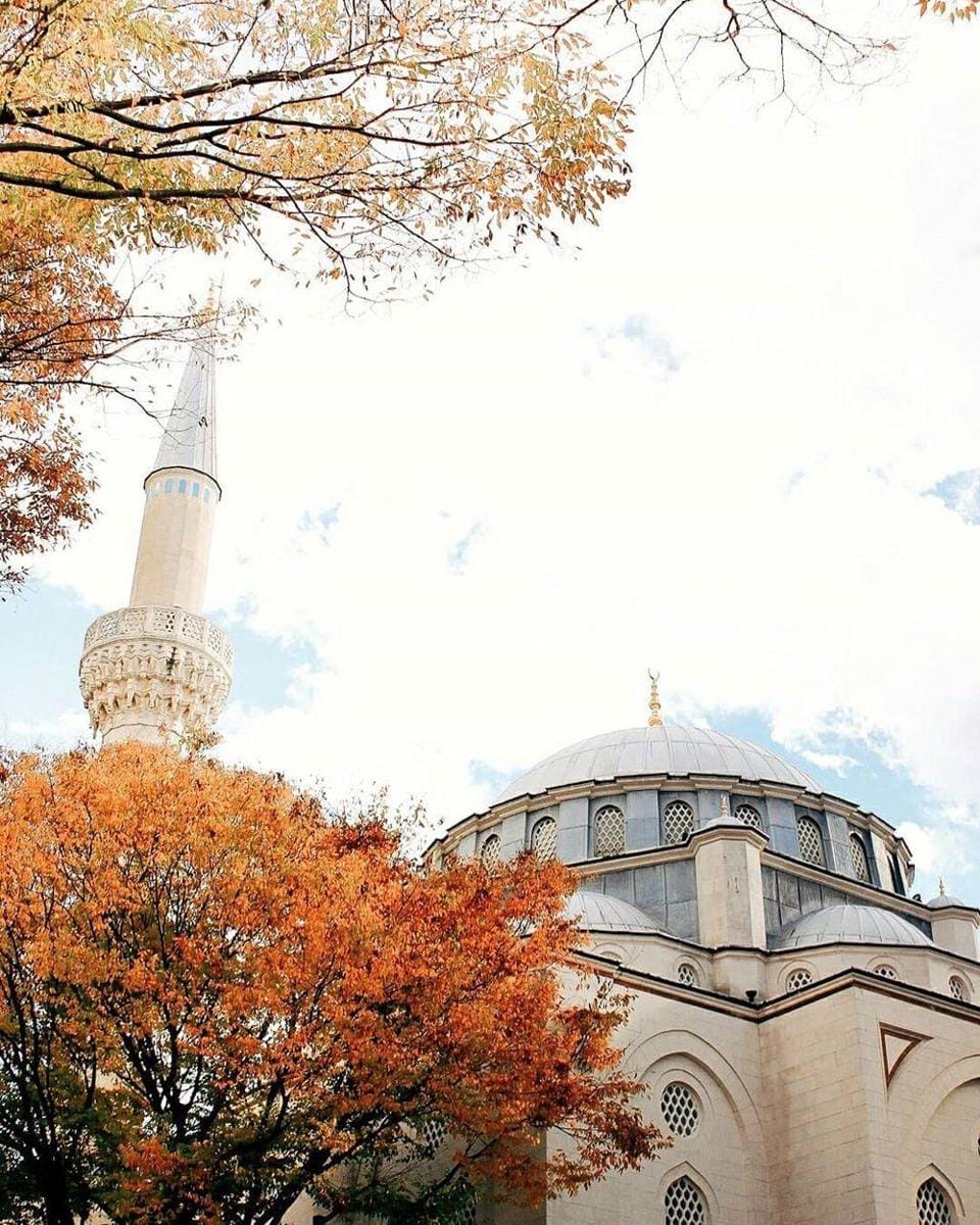 Instagram.com/tokyocamii, diniaiko