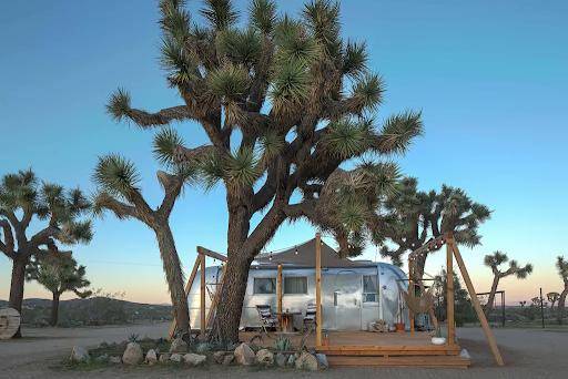 joshuatreeacres.com