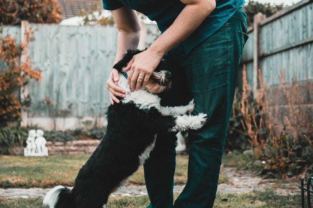 Pexels.com/Lisa Fotios