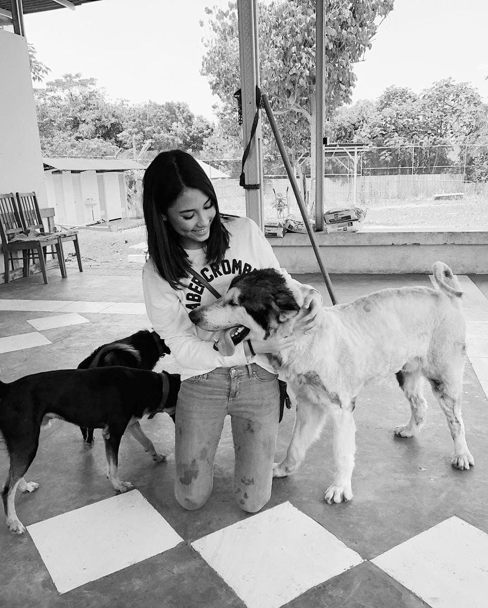 Instagram.com/frederikacull