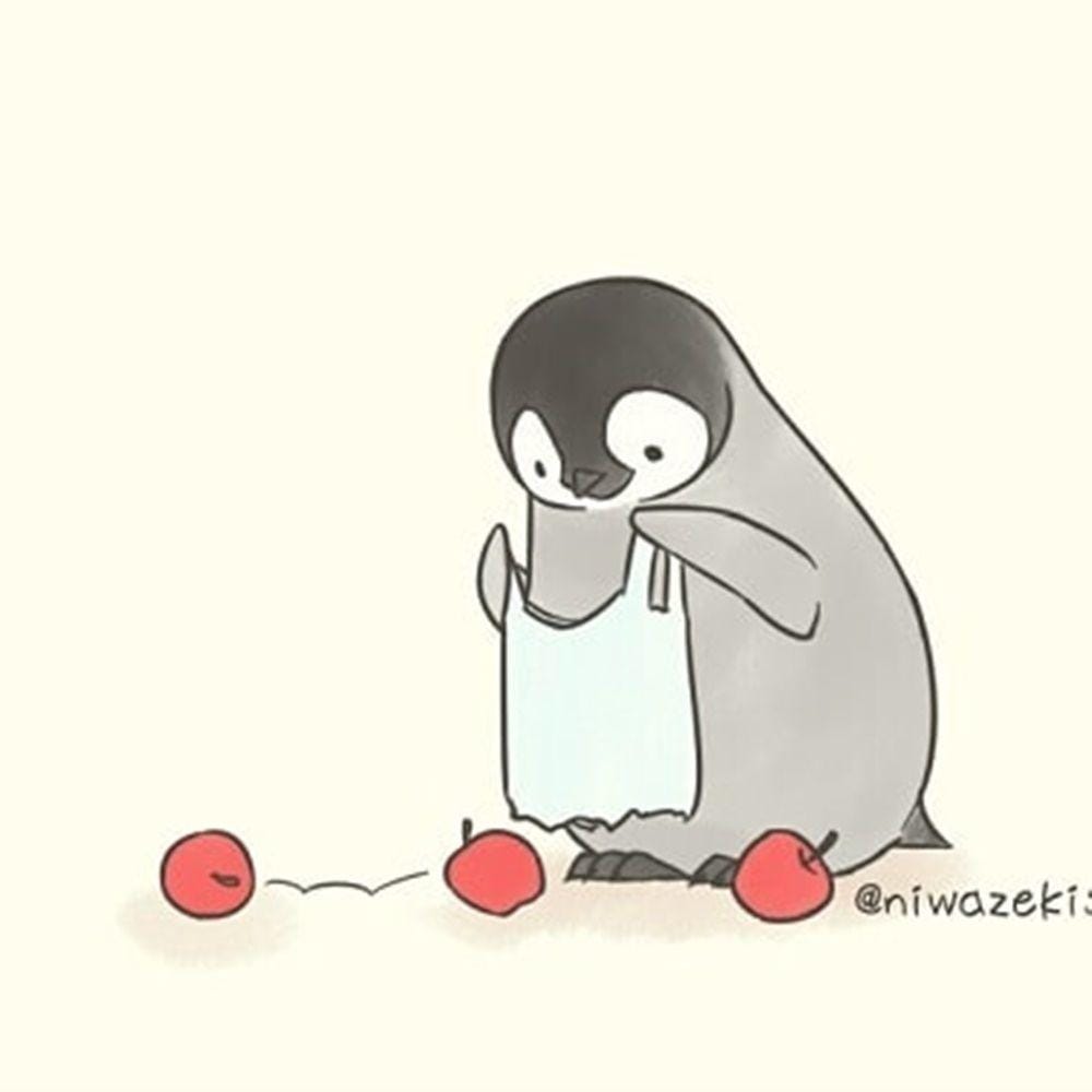 Instagram.com/sheba.drawing