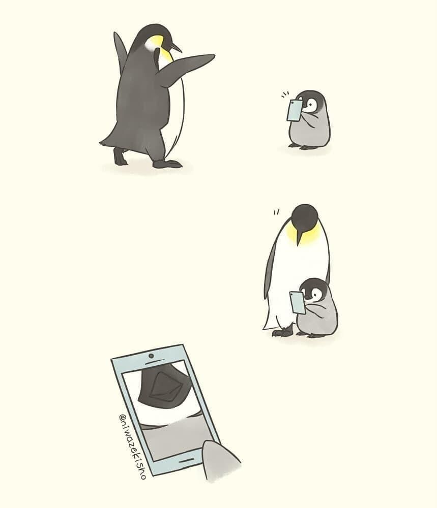 Instagram.com/sheba.drawing