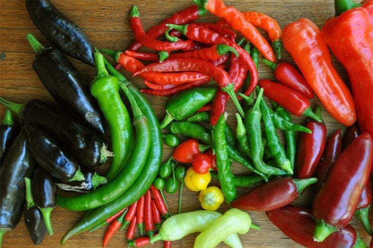 kebudayaan.kemdikbud.go.id