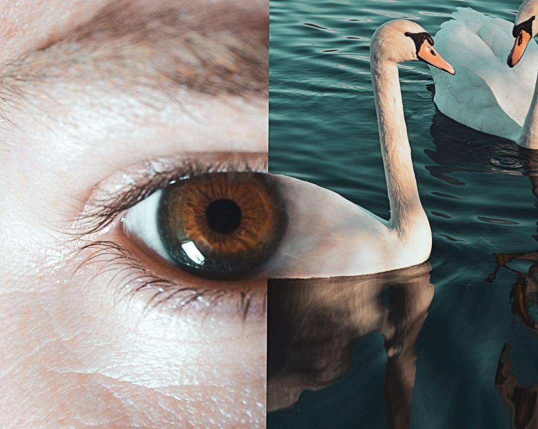 Instagram.com/mofart_photomontages