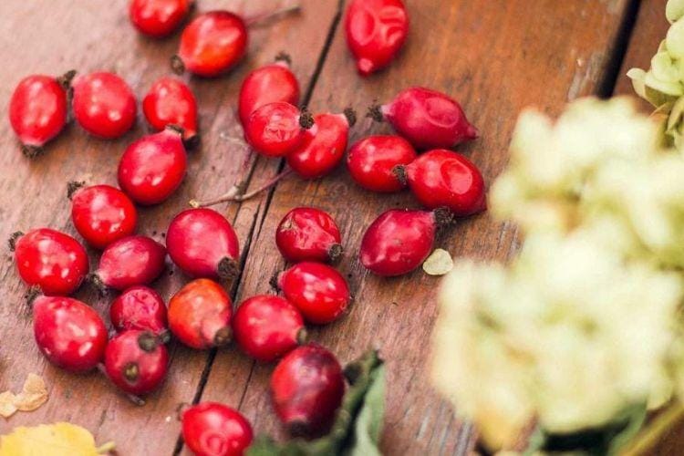 rockymountainsoap.com