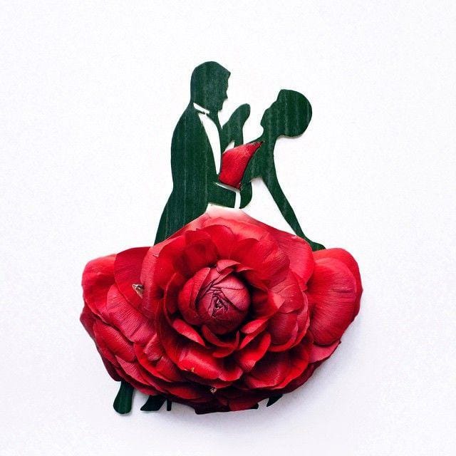 Instagram.com/darynakossar