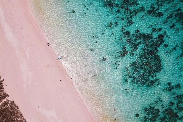 instagram.com/discoverkomodo