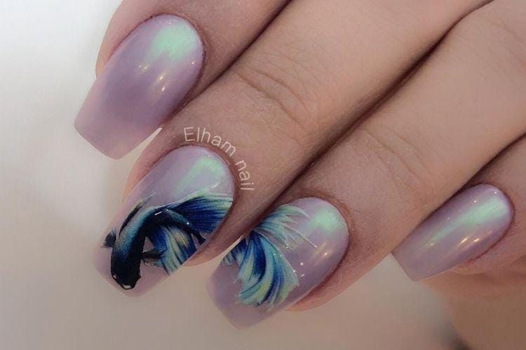 Instagram.com/@naileel