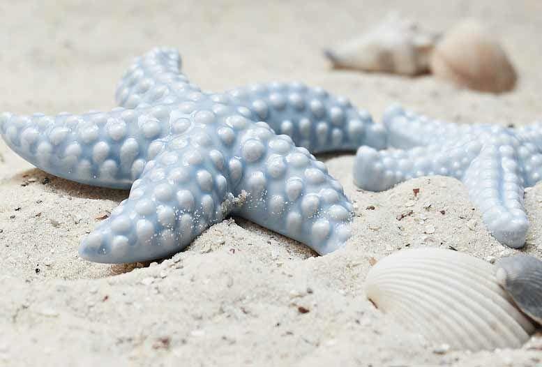 pixabay.com/pixel2013