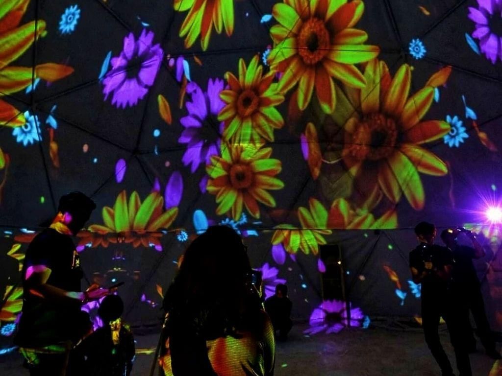 instagram.com/360domex