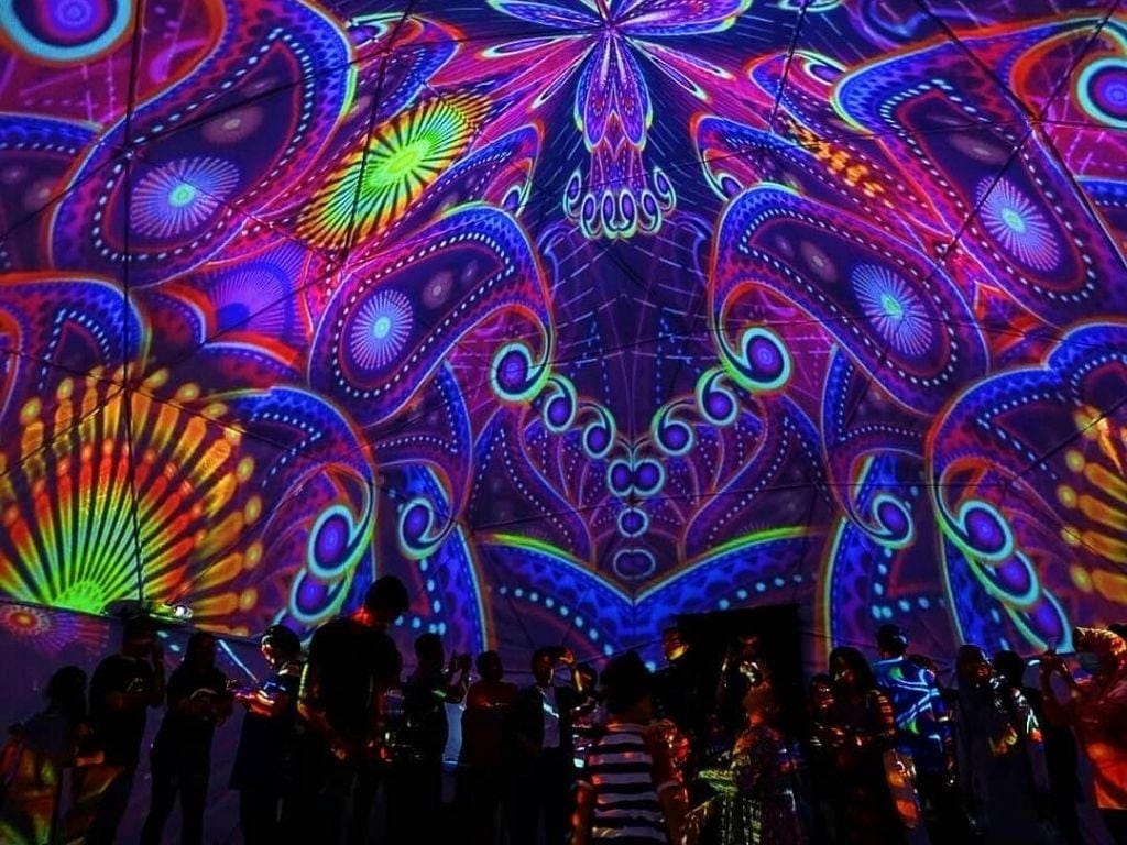 instagram.com/360domex