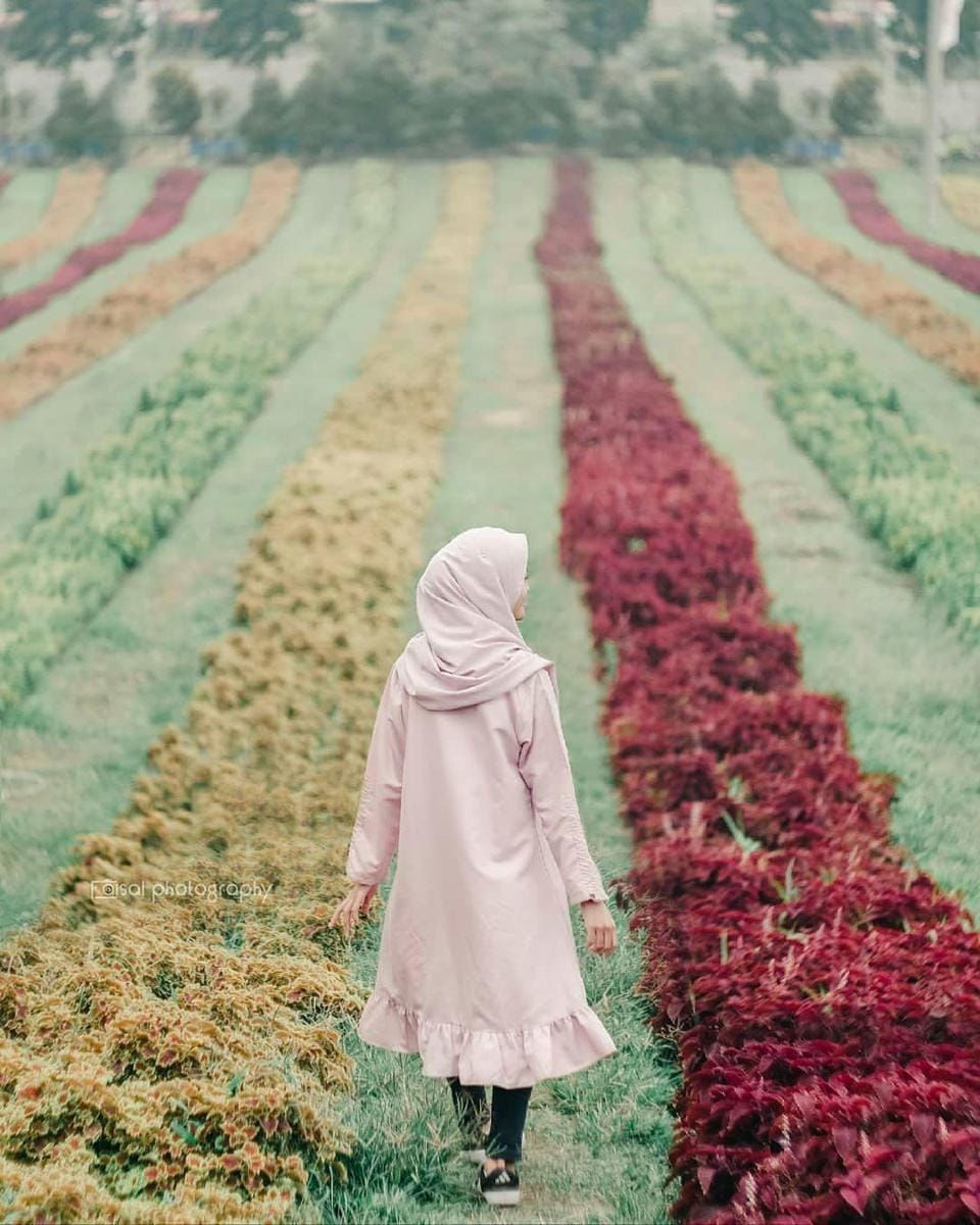 instagram.com/explorelembang_/@henimulyasari