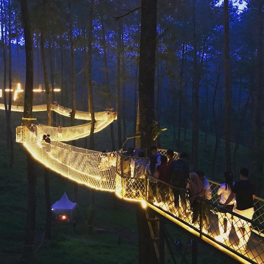 Instagram.com/orchidforestcikole