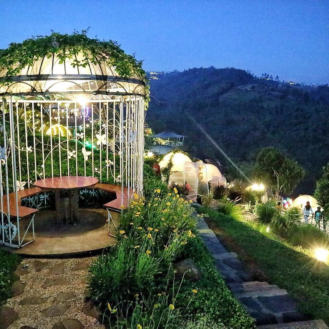 Instagram.com/heytafso