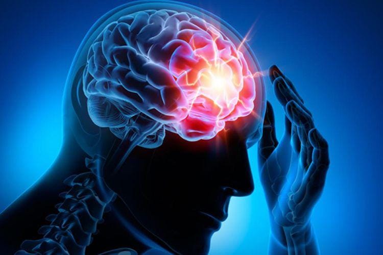 Epilepsyqueensland.com