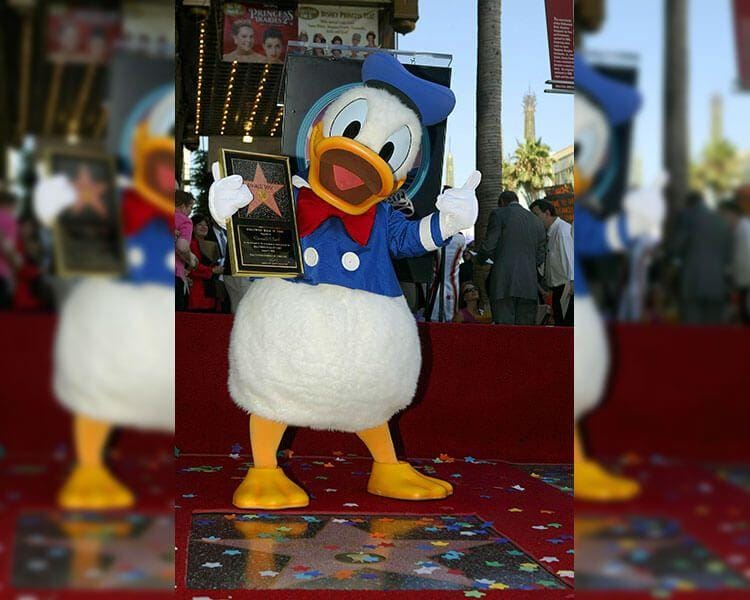 Hooch.net/Mark Mainz/Getty Images