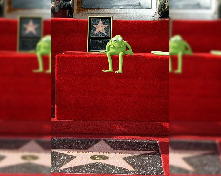 Hooch.net/Ron Galella/WireImage