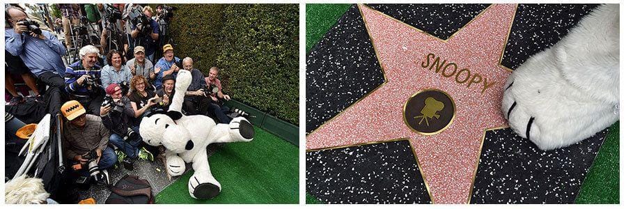 Hooch.net/Axelle/Bauer-Griffin/FilmMagic