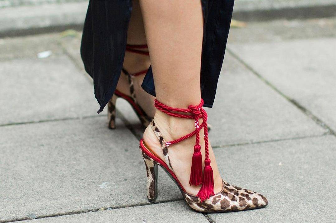 Thezoereport.com