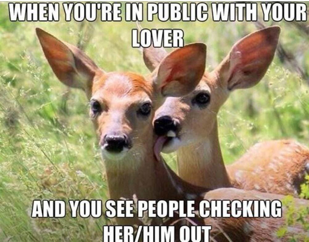 sayingimages.com