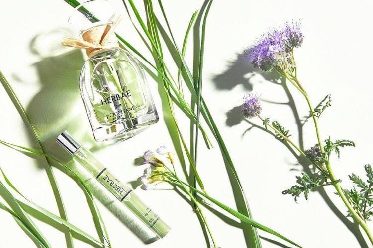 Popbela.com/ L'Occitane