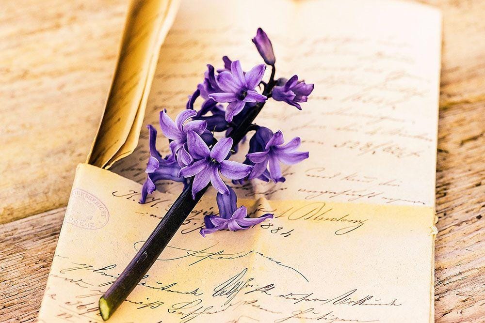 Pixabay.com/Pezibear